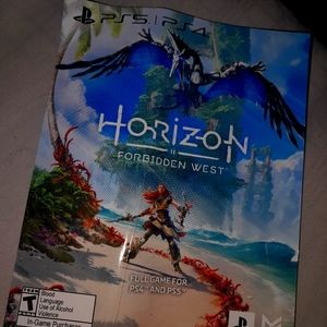 Video Game for a PS4 or PS5